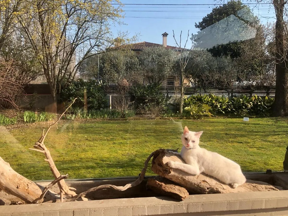 Mi An Home Paese
