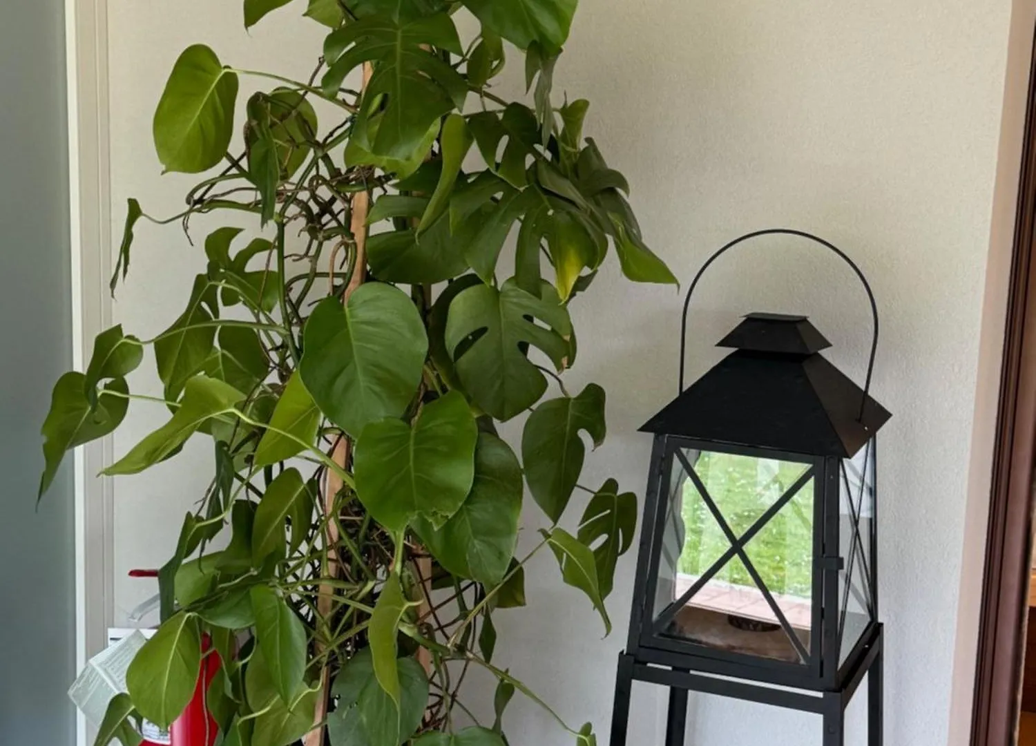 Mi An Home Paese Appartamento